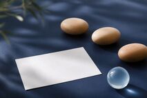 認知症の家族が行方不明になったら？最初に警察へ伝える情報と相談先の整理